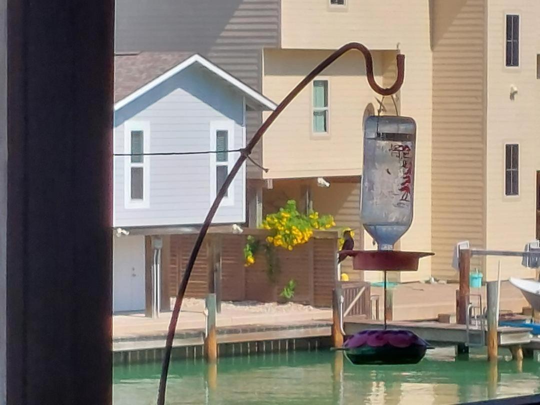 Bay Tree B5 Port Aransas Exterior foto